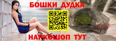 прущие крисы Кингисепп