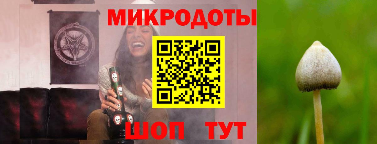 Галлюциногенные грибы Cubensis  Галлюциногенные грибы Psilocybine cubensis  Кудымкар  Вход с VPN 